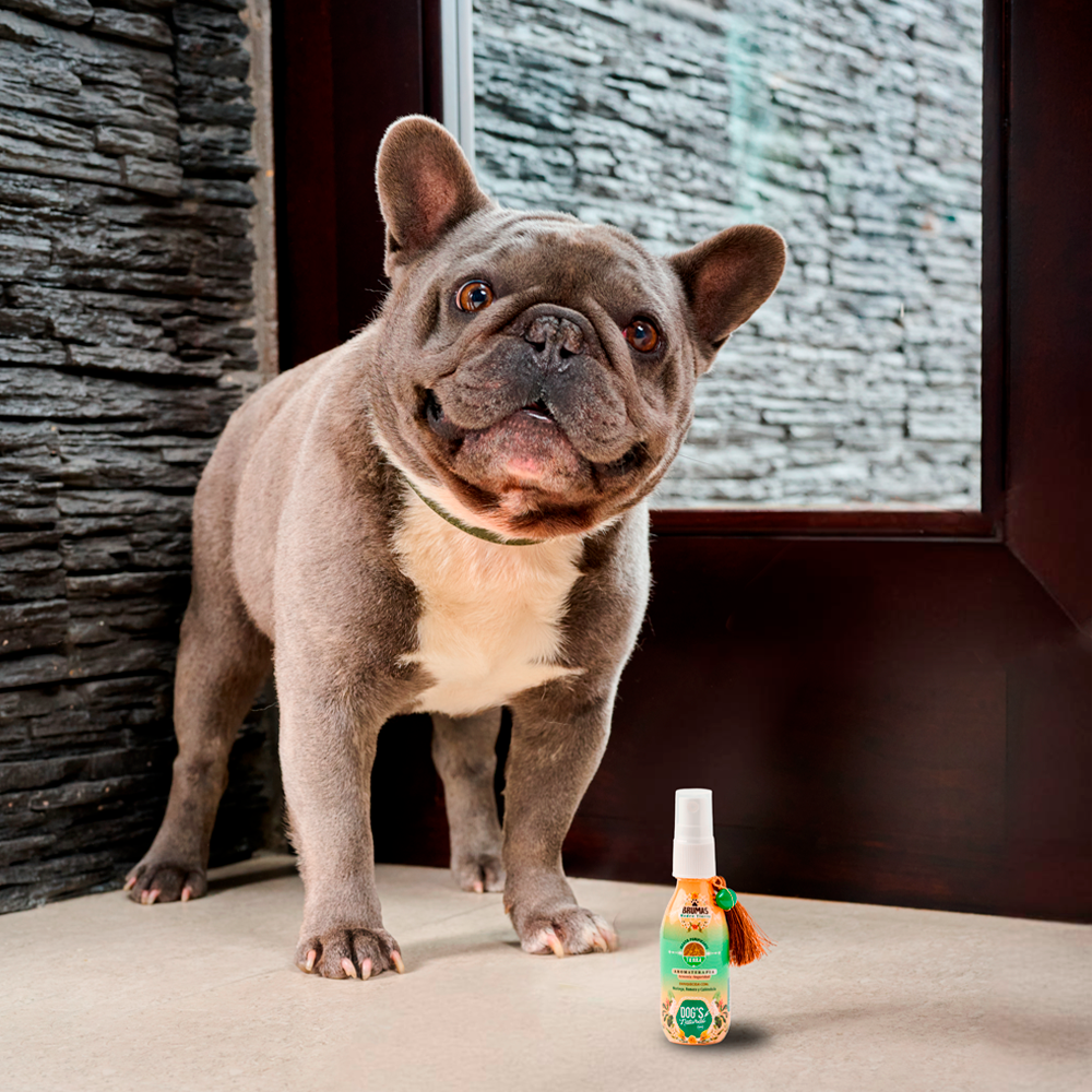Bruma Tierra - Dogs Natural Care