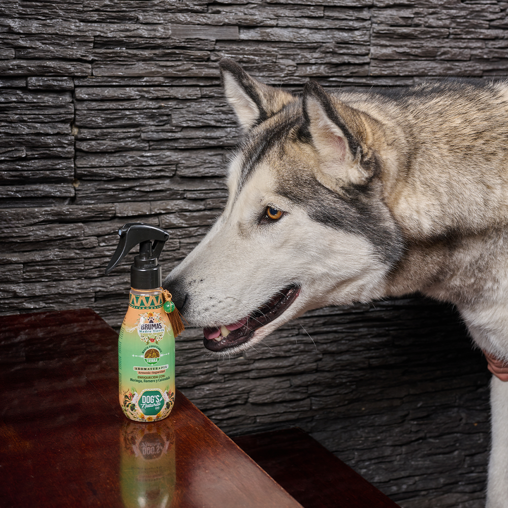 Bruma Tierra - Dogs Natural Care