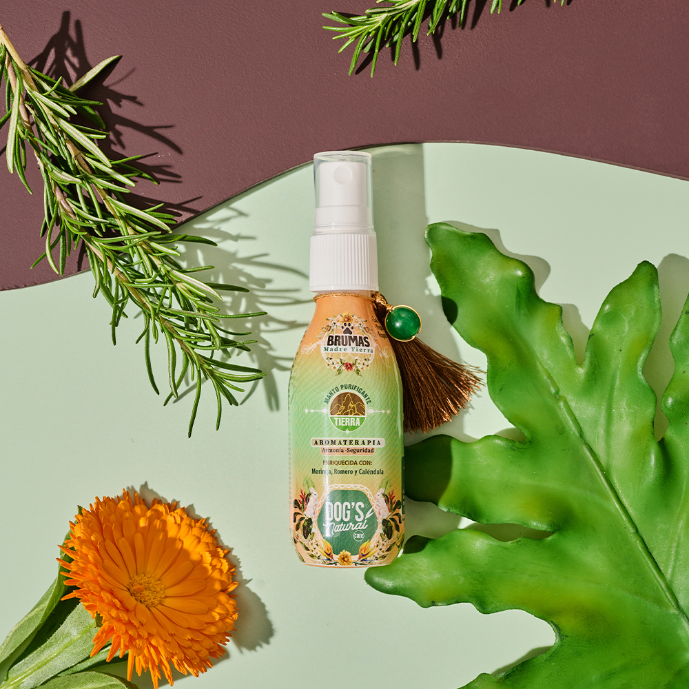 Bruma Tierra - Dogs Natural Care